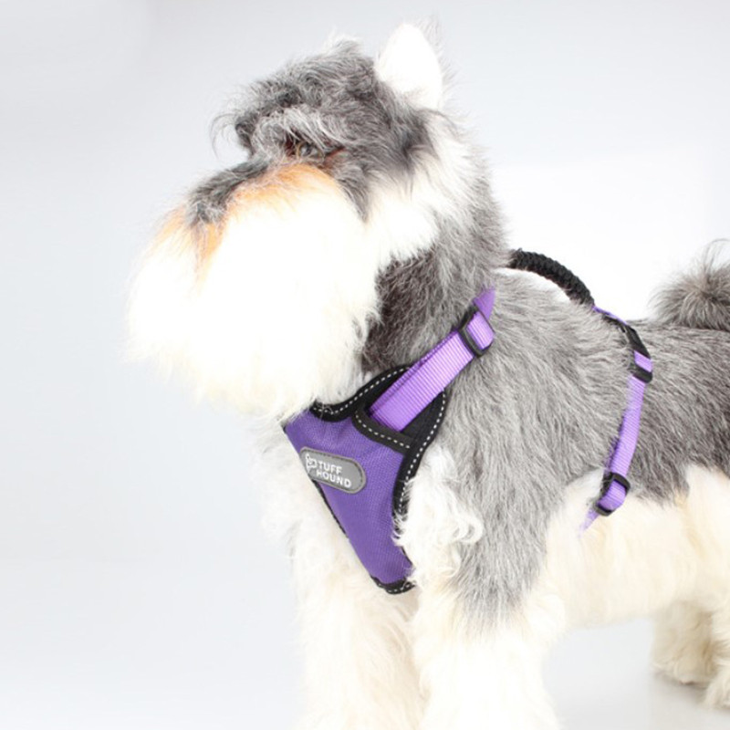 

Амуниция для собак шлея TUFF HOUND 1639 Purple L нагрудной ремень (70-86 см) (F_5310-16627)
