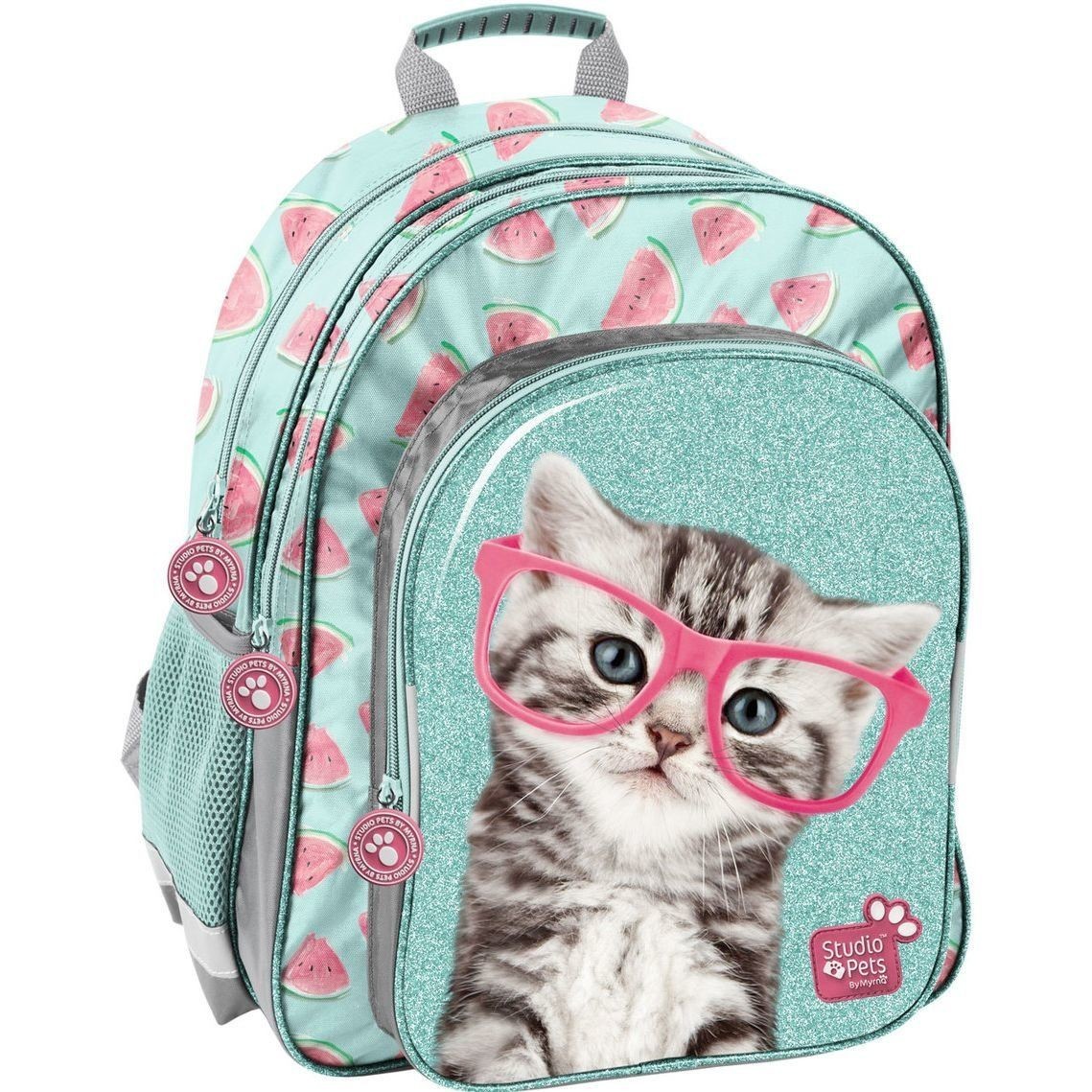 

Рюкзак школьный Paso Studio Pets 38x29x18 см бирюзовый (PTO-090)