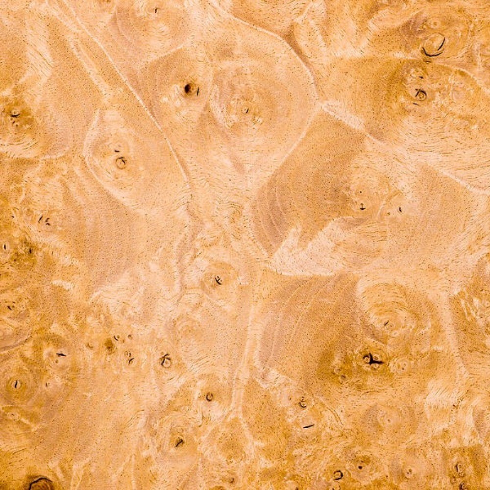 

Шпон корень Клен Американский 0,6х300х200 мм ( Logs)