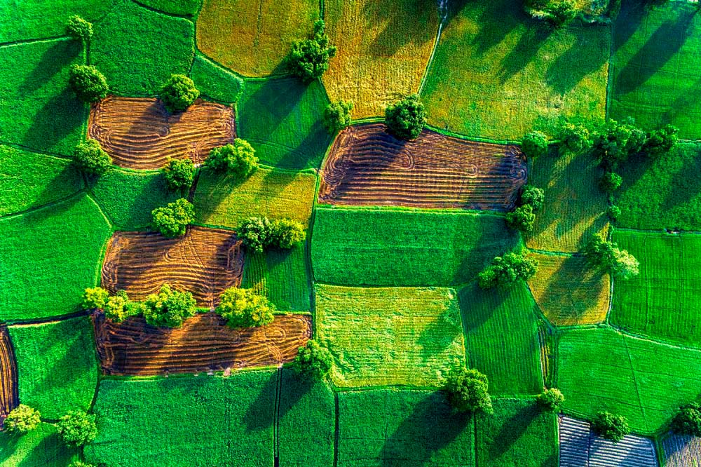 

Фотообои ArtSide Вид на поле с высоты (755327206) Базальт