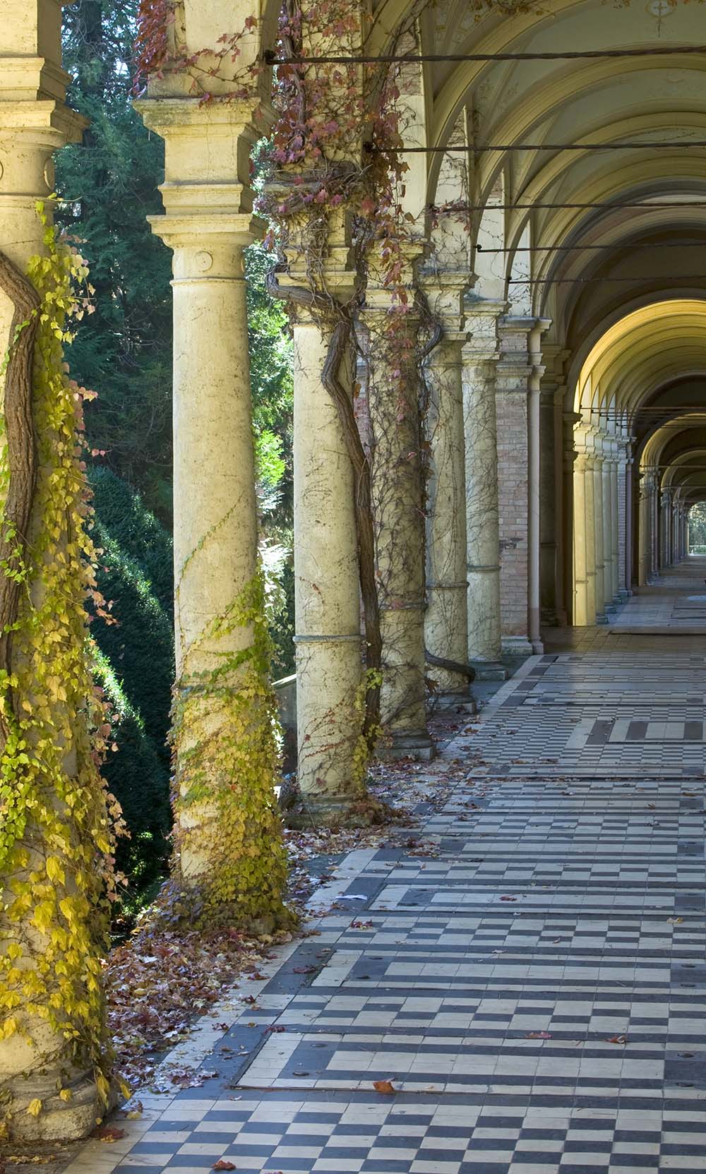 

Фотообои ArtSide Арка с колоннами (3655) Вельвет