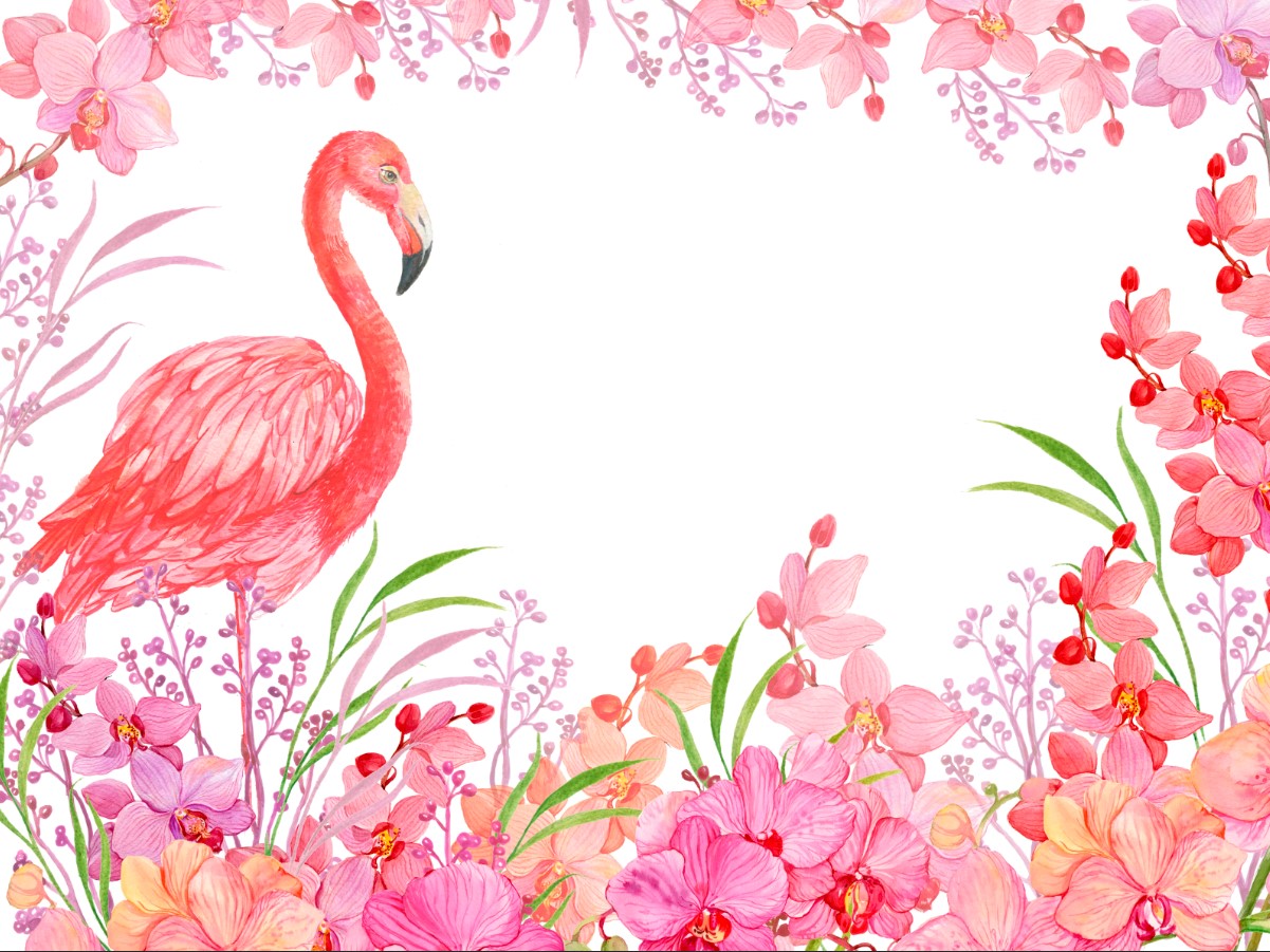 

Фотообои ArtSide Фламинго в цветах (527050202015) Песок