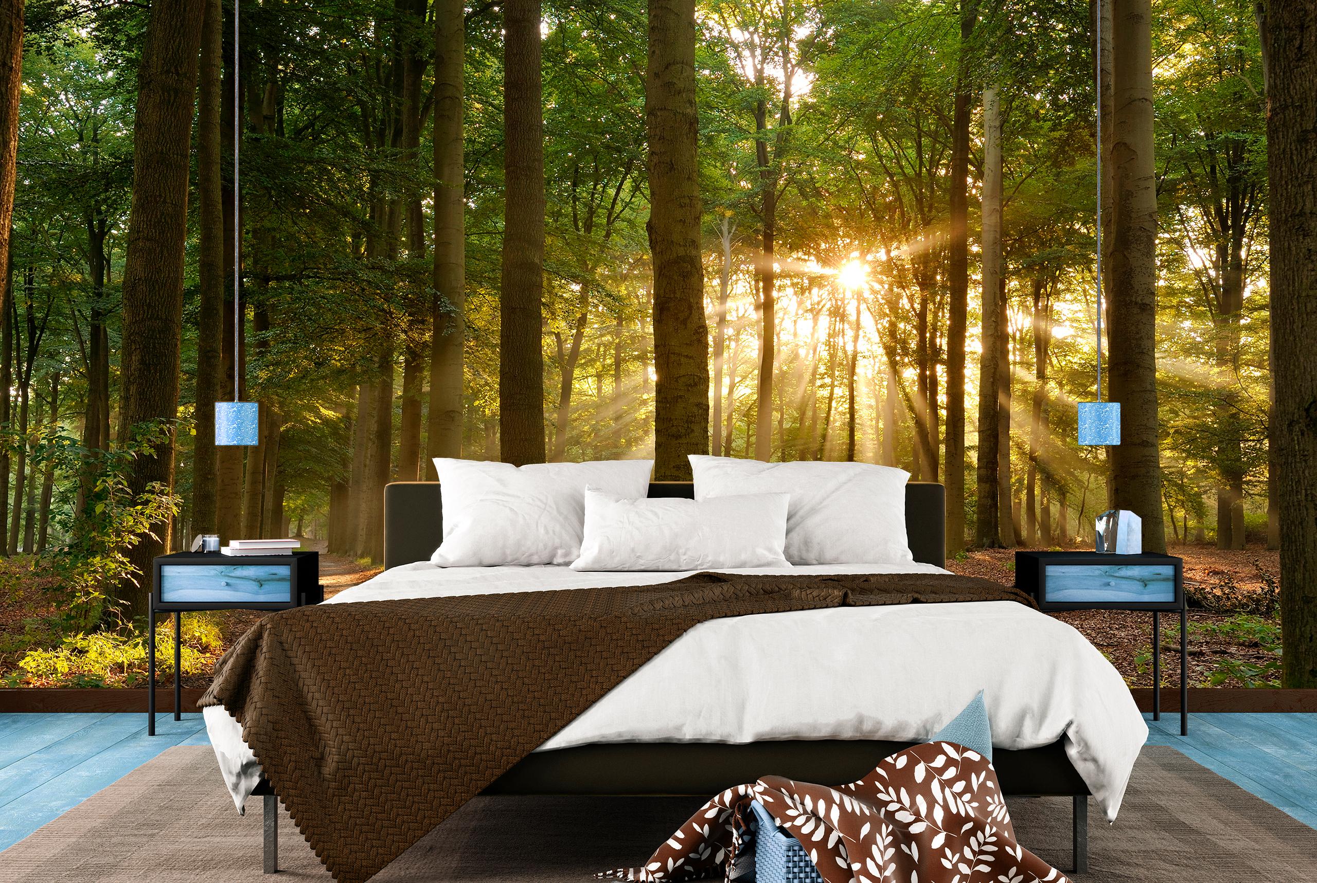 

Флизелиновые Фотообои Walldeco Утро в лесу 300x200 Бриз