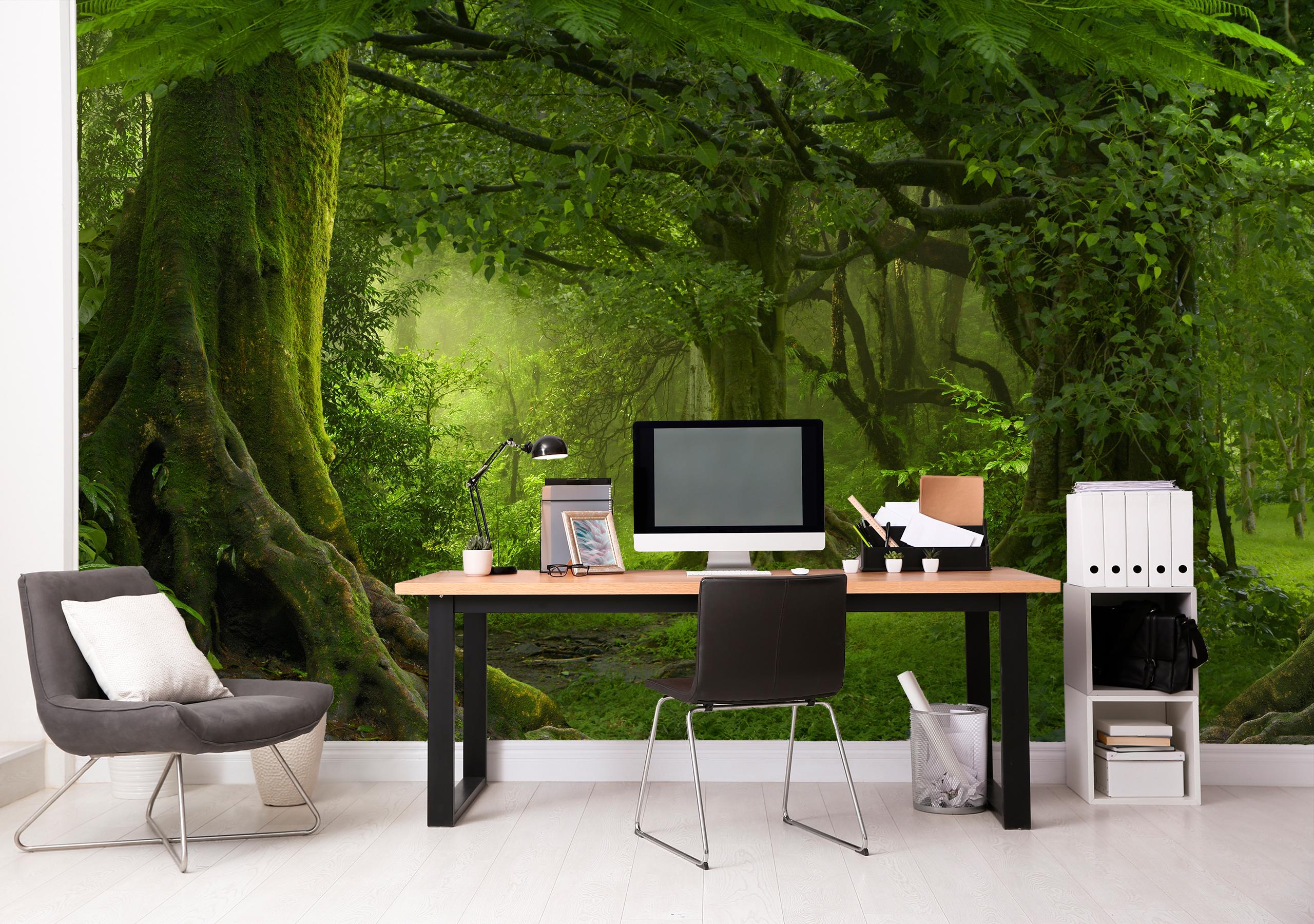 

Виниловые Фотообои Walldeco Зелёный лес 200x130 Фреска