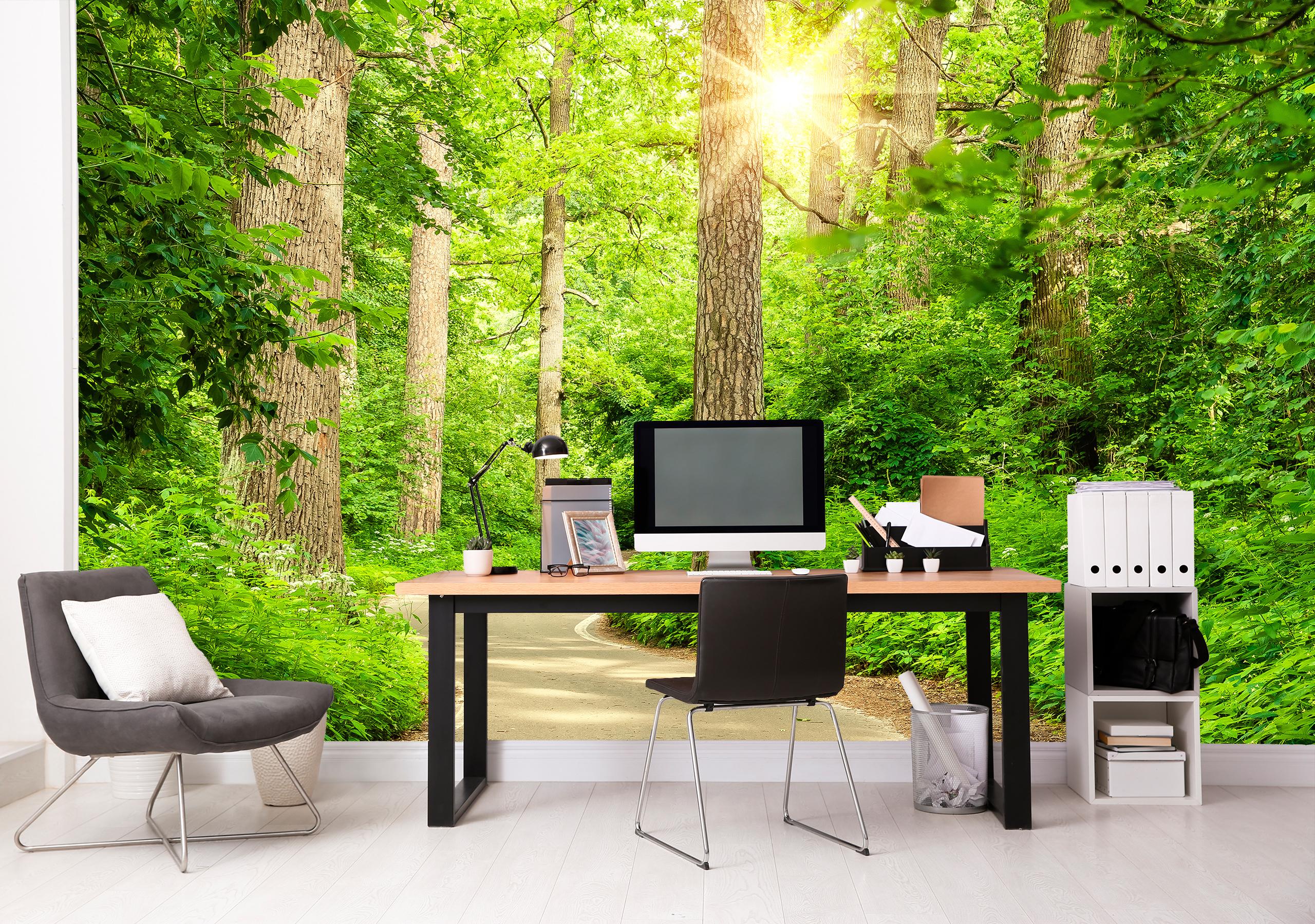 

Виниловые Фотообои Walldeco Дорога в лесу 380x250 Базальт