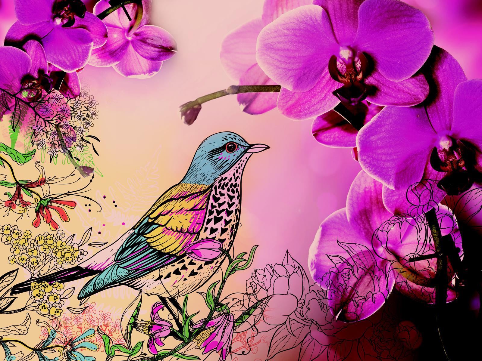 

Картина Арт-Холст Сойка в орхидеях №23575 (110x80см)