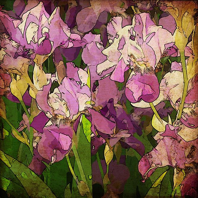 

Картина Арт-Холст Куст ириса №2185 (80x110см)
