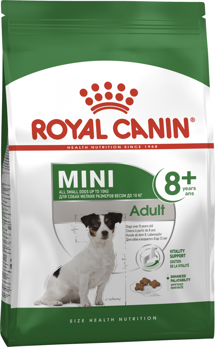 

Сухой корм для собак Royal Canin Mini Adult 8+ 4 кг