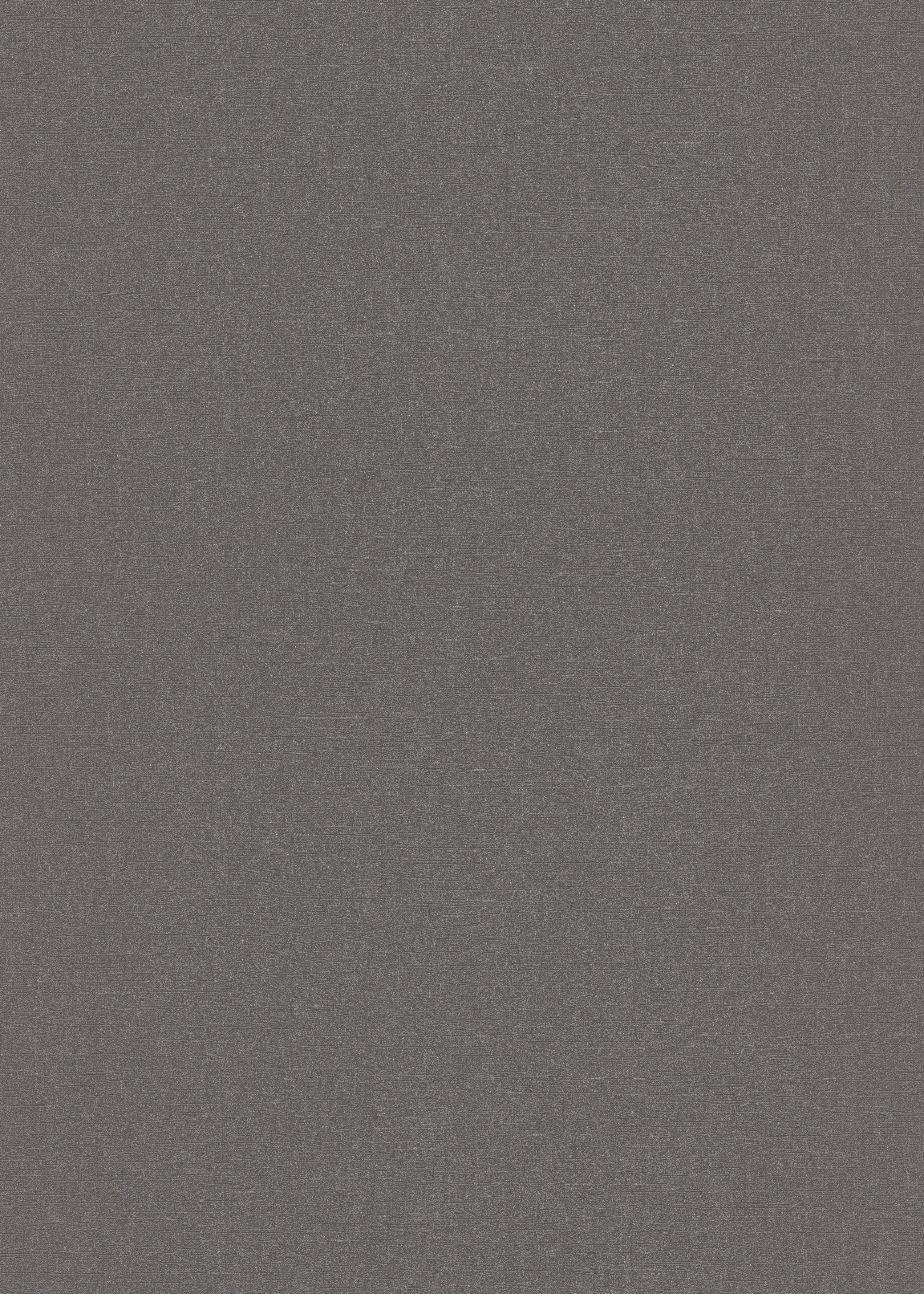 

Виниловые обои ERISMANN Sportlight 12073-15