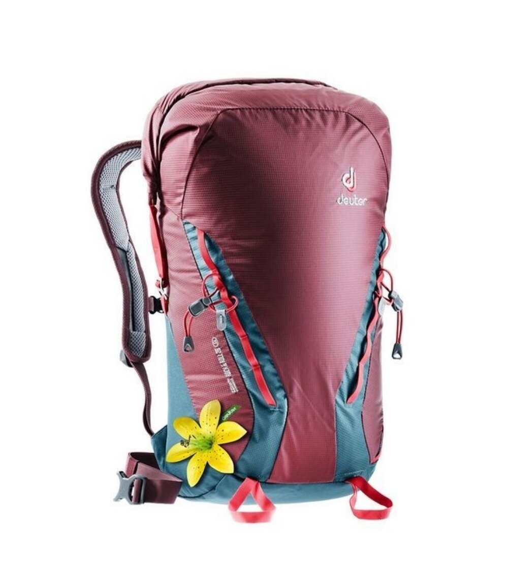

Рюкзак Deuter Gravity Rock&Roll 28 SL One size Maron/Arctic (3362219 5324)
