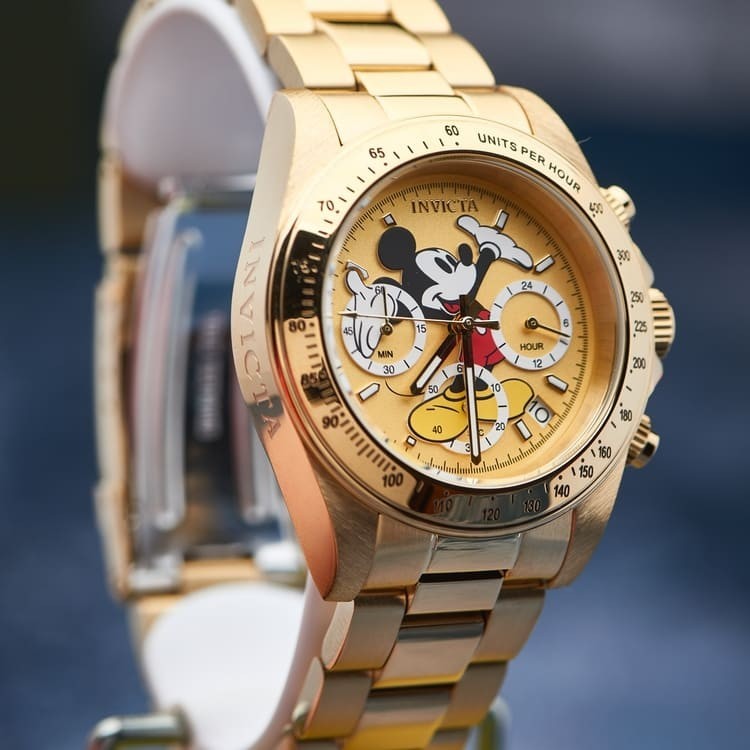 

Часы с хронографом Invicta 2519 Speedway