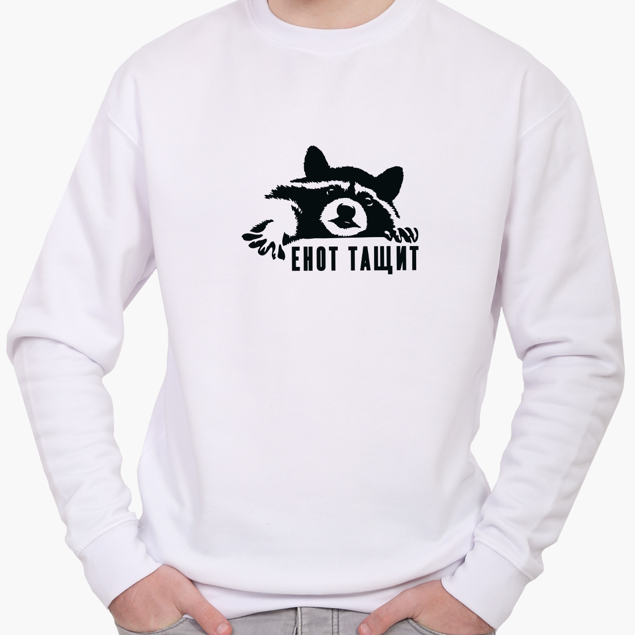 

Свитшот мужской Надпись Енот Тащит (Lettering Raccoon Drags) (8771-2049) Белый, Свитшот мужской Надпись Енот Тащит (Lettering Raccoon Drags) (8771-2049) Белый XL