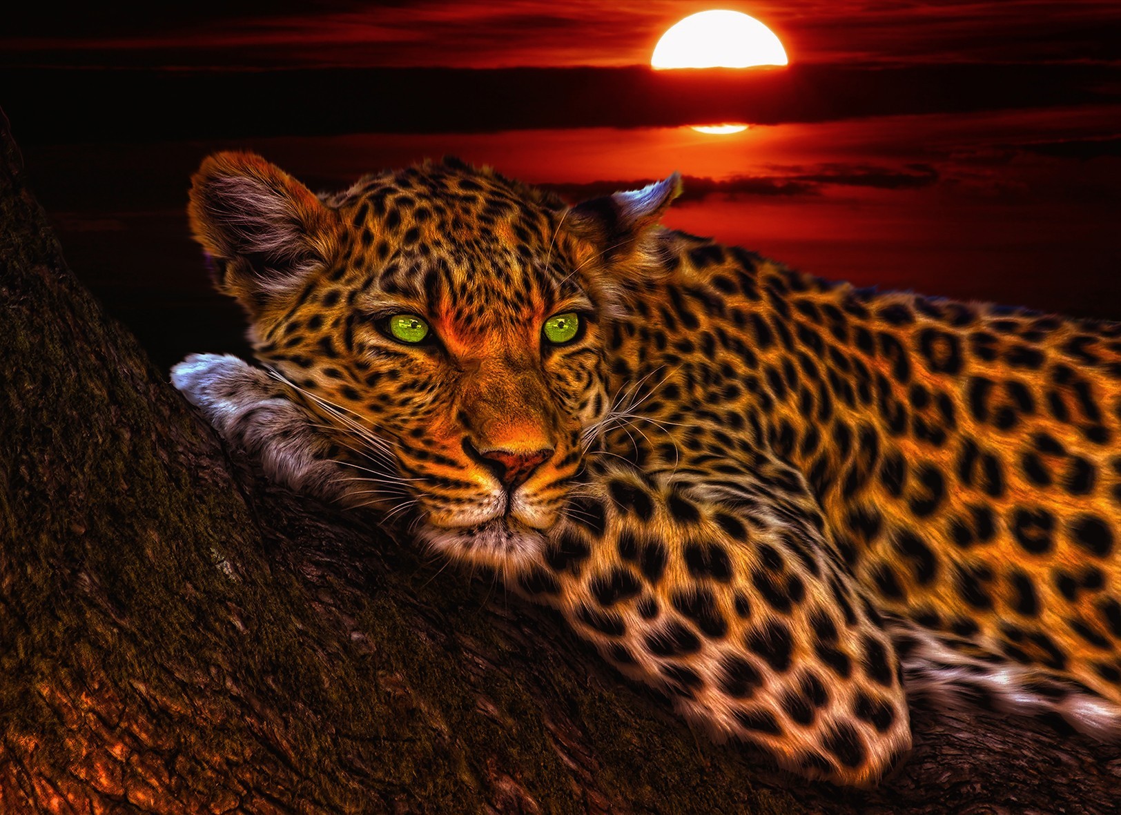 

Картина Леопард на дереве на натуральном холсте Артприз 60х80см (ДКШ13/6080/86)