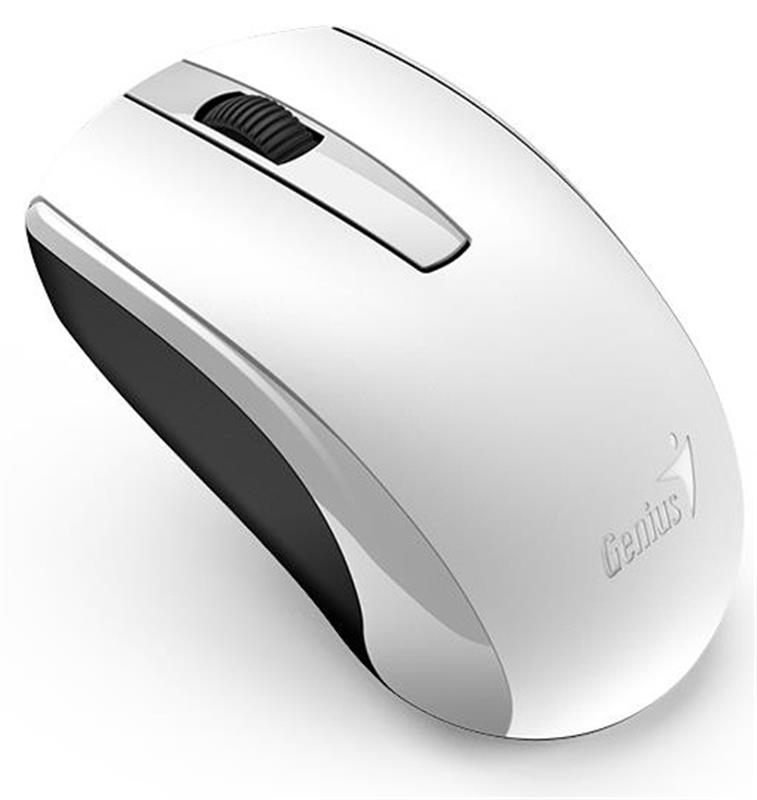 

Мышь Wireless Genius ECO-8100 (31030010409) USB White