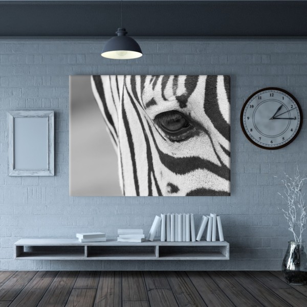 

Картина на холсте Животные Zebra 75х100 см.