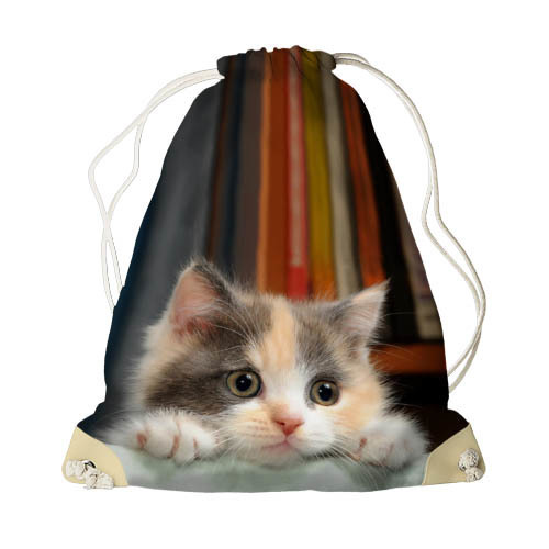 

Рюкзак-мешок MINI Милый котенок Presentville 26х36 см 000173041