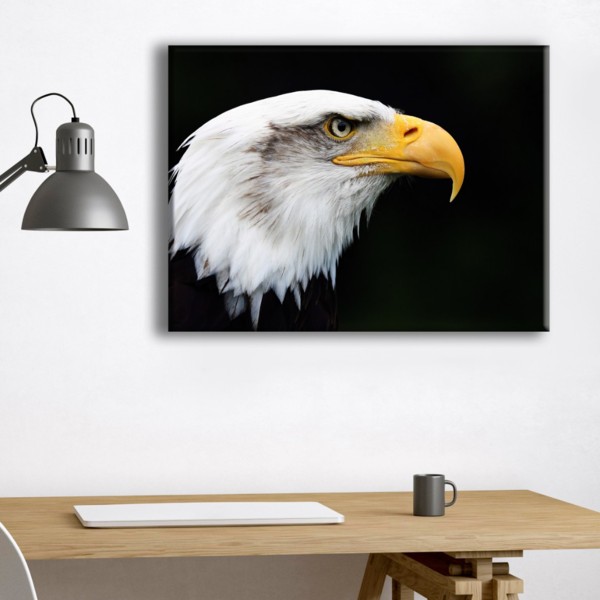 

Картина на холсте Животные Eagle 50х65 см.