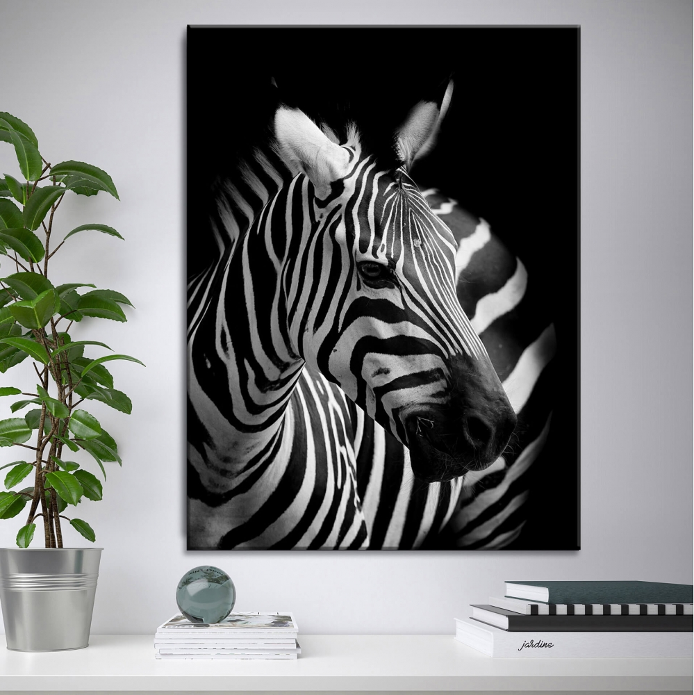 

Картина на холсте Животные White Zebra 90х120 см.
