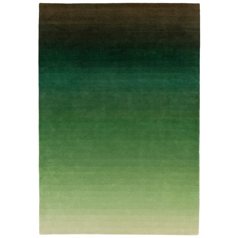 

Ковер Ombre Green 120х170 см Зелёный