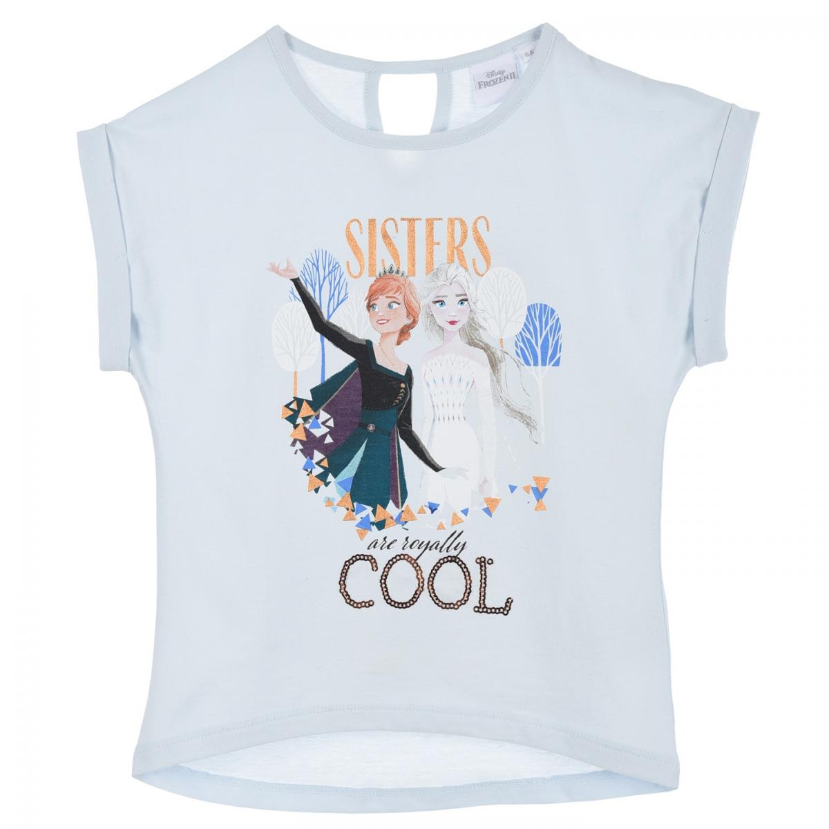 

Футболка Disney Frozen (Холодное Cердце) 116 см Голубой UE10072
