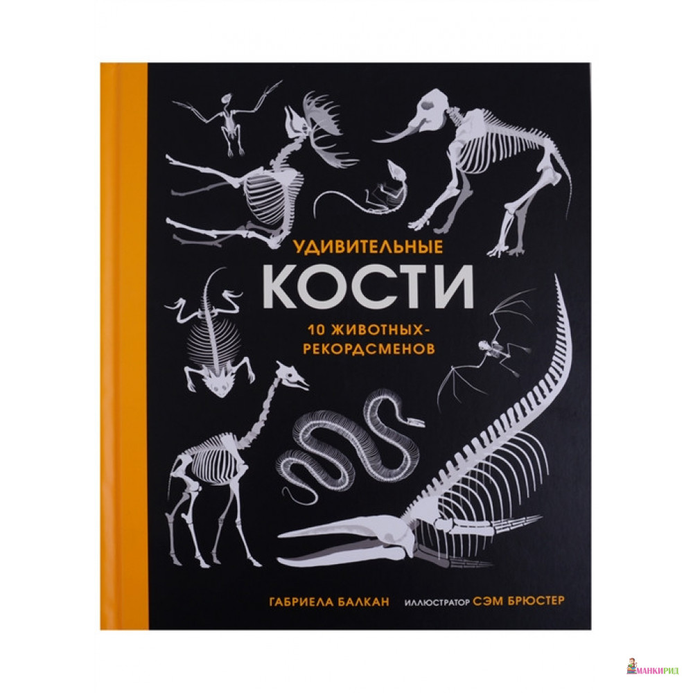 

Удивительные кости. 10 животных рекордсменов (6+) - Габриела Балкан - Поляндрия - 729330