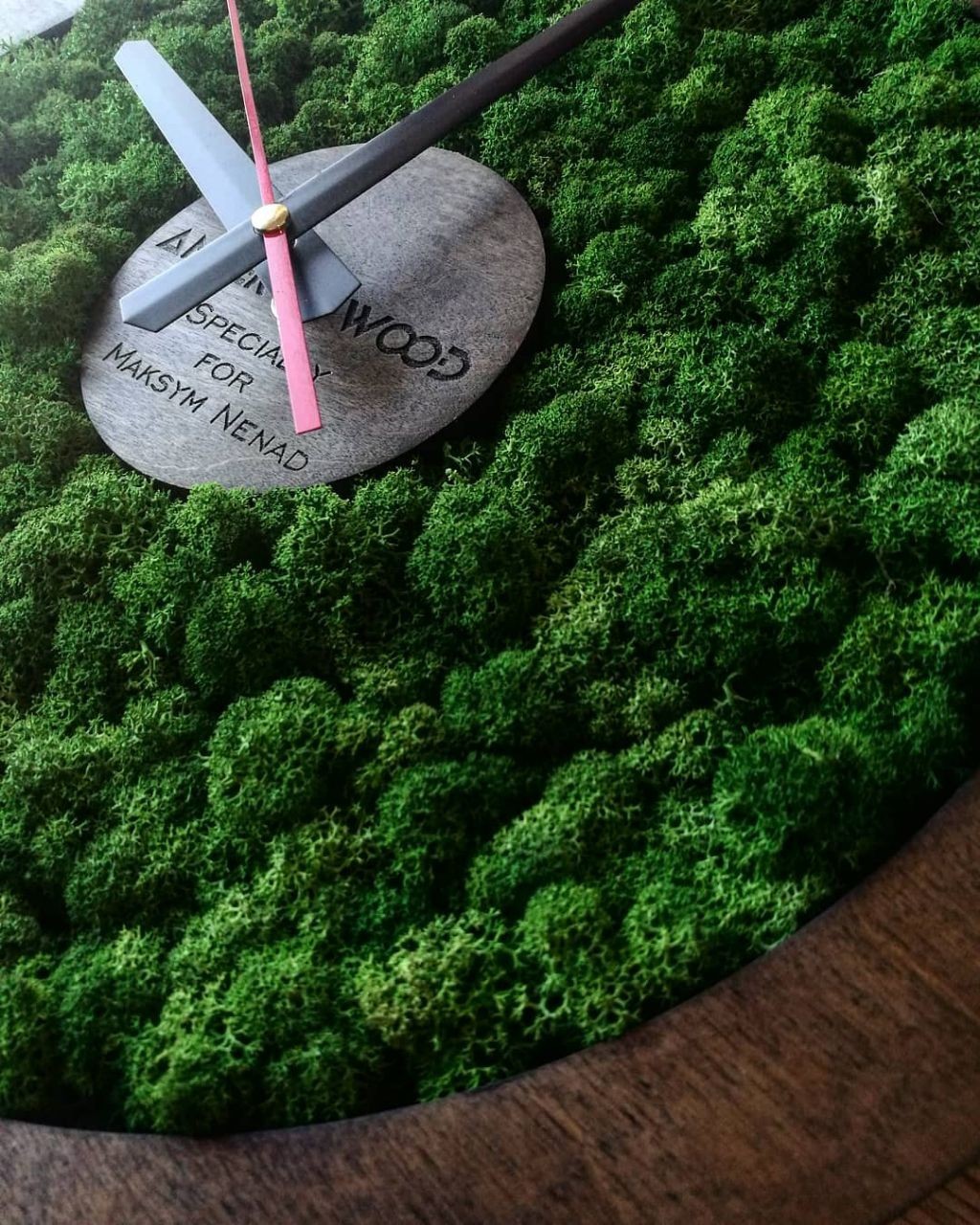 

Часы с мхом Loft Brown 300 мм