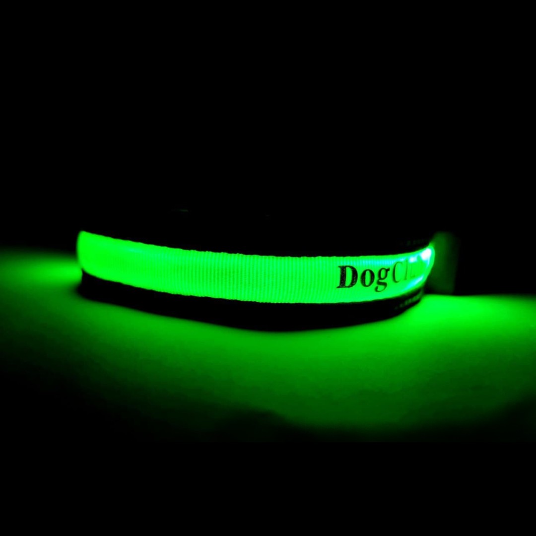 

Светящийся нейлоновый ошейник для собак DogClub Solar LUX L(50-60 см) Green