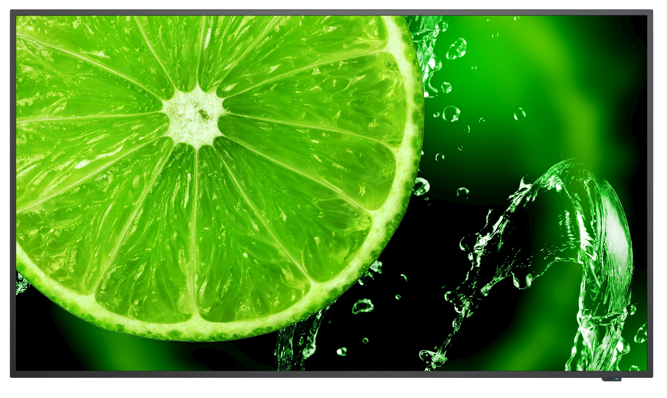 

Монитор Nec Profesjonalny Monitor Multisync P495 + Uchwyt I Kabel Hdmi Gratis