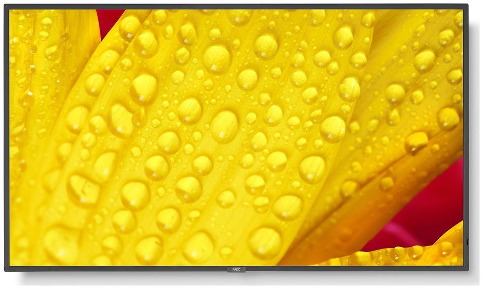 

Монитор Nec Multisync Me501 (60005053)