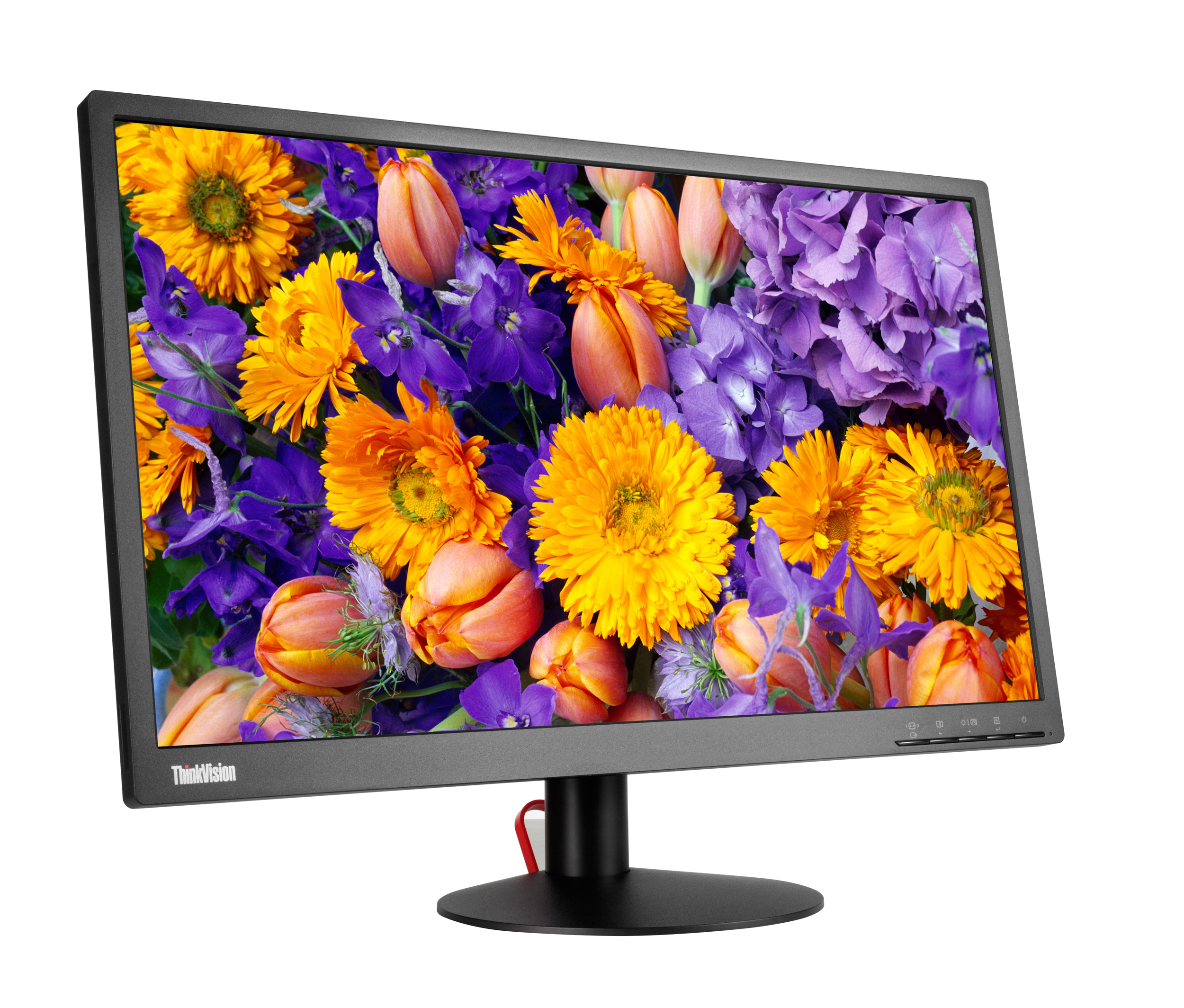 

Монитор Lenovo 23,8'' ThinkVision E24 (61B7JAT6EU)