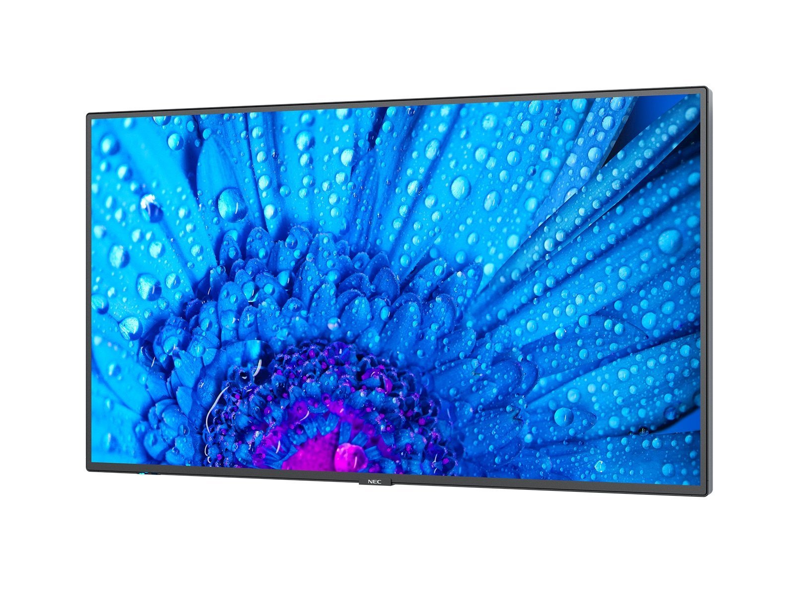 

Монитор Nec Multisync M431 (60005047)