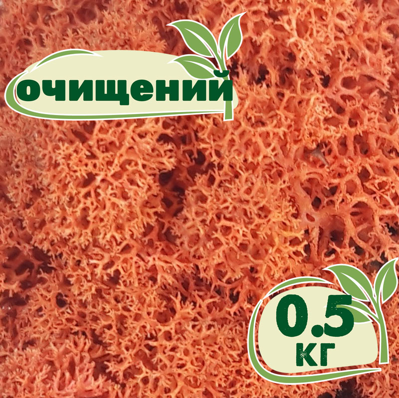 

Очищенный стабилизированный мох ягель Nordic moss Сиена 0,5 кг