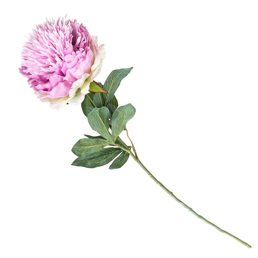 

Набор из 12 единиц. Пион (85 см) (015FS-PL), Elisey