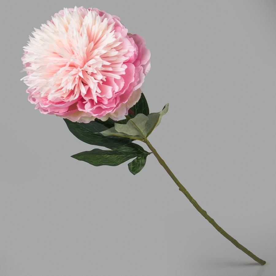 

Набор из 6 единиц. Пион (85 см) (015FS-PK), Elisey