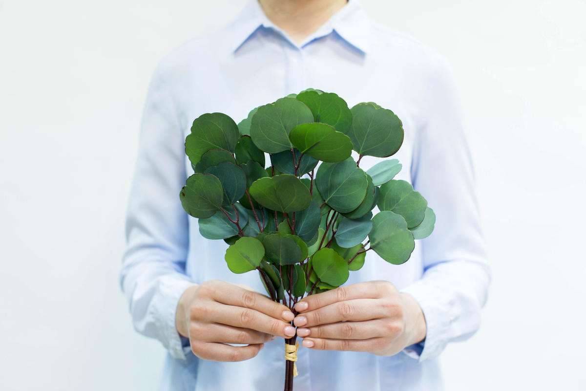 

Пучок эвкалипта серебряный $ HQ (8 веточек) - Сине-зеленый Real Touch (EU-40-3D-1583)