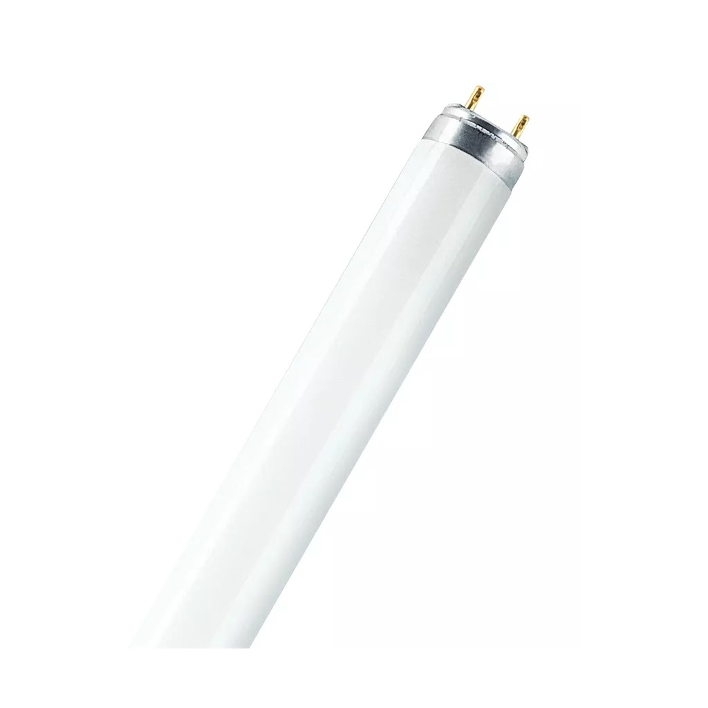 

Лампочка LEDVANCE FLUORA L Т8 36W / 77 G13 / 1200мм / 1400Lm (4050300003184)