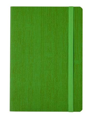 

Блокнот деловой Buromax COLOR TUNES А5 96 листов в линейку обложка из искуственной кожи салатовый (BM.295200-15)