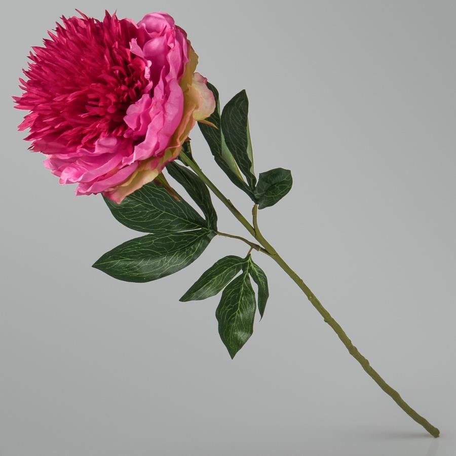 

Набор из 6 единиц. Пион (85 см) (015FS-PKR), Elisey