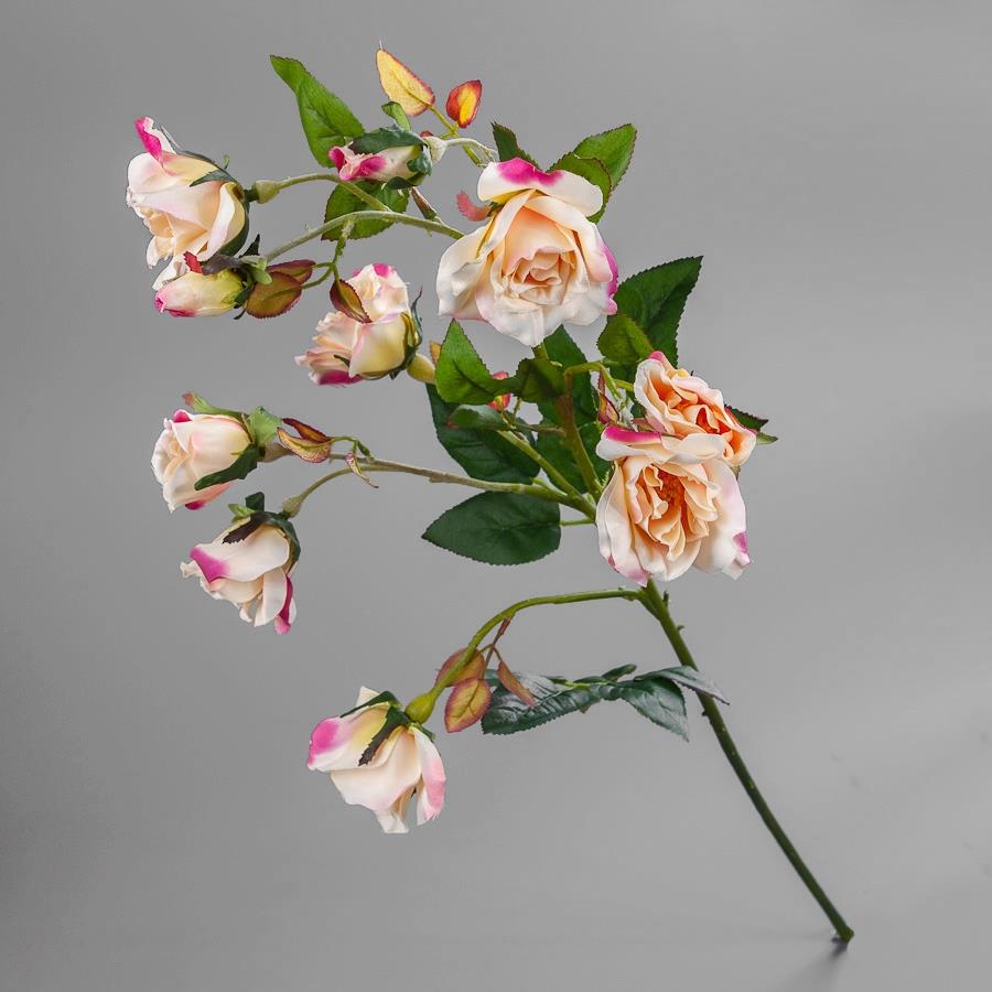 

Набор из 12 единиц. Камелия (75 см) (025F/pink), Elisey