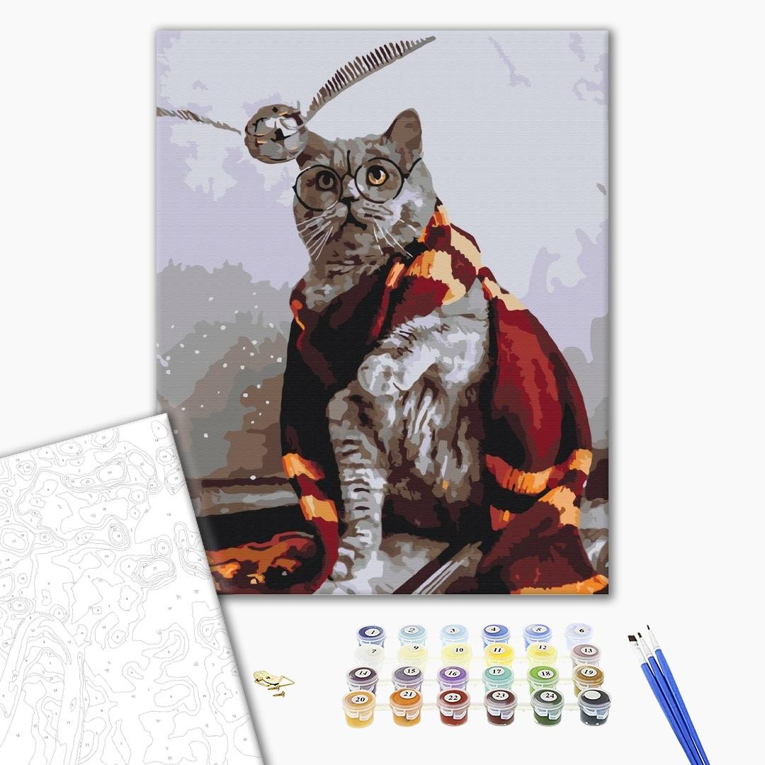 

Котик ловец снитча - картина по номерам BS36543 BRUSHME