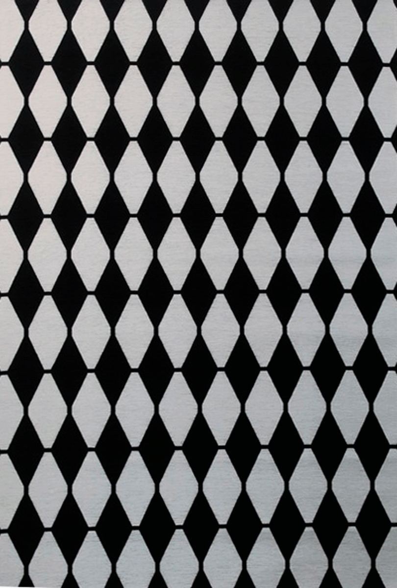

Безворсовый ковер Almina 126702 black-white 1.60x2.30