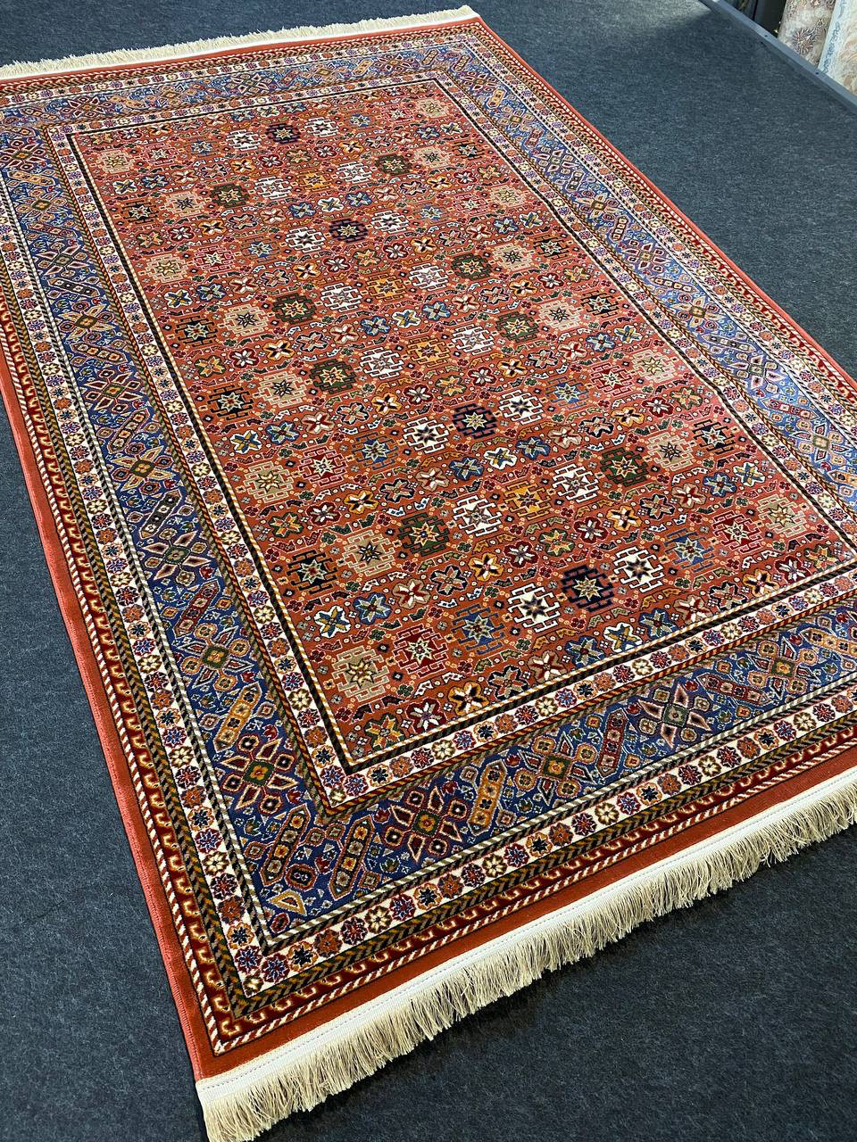 

Ковер Faravahar Ethnic 150х230 см Кирпичный (0646)