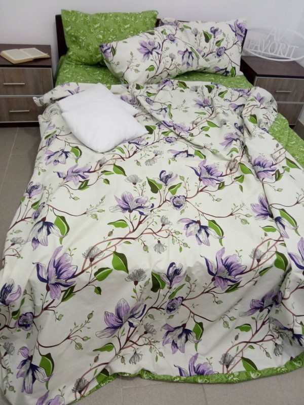 

Комплект постельного белья AV-favorit Бязь Люкс 180*220 Весенний (b-02121R)