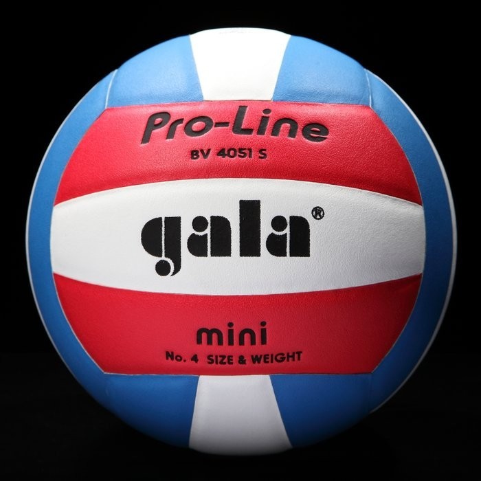 

Мяч волейбольный Gala Pro-Line Mini - BV 4051 S