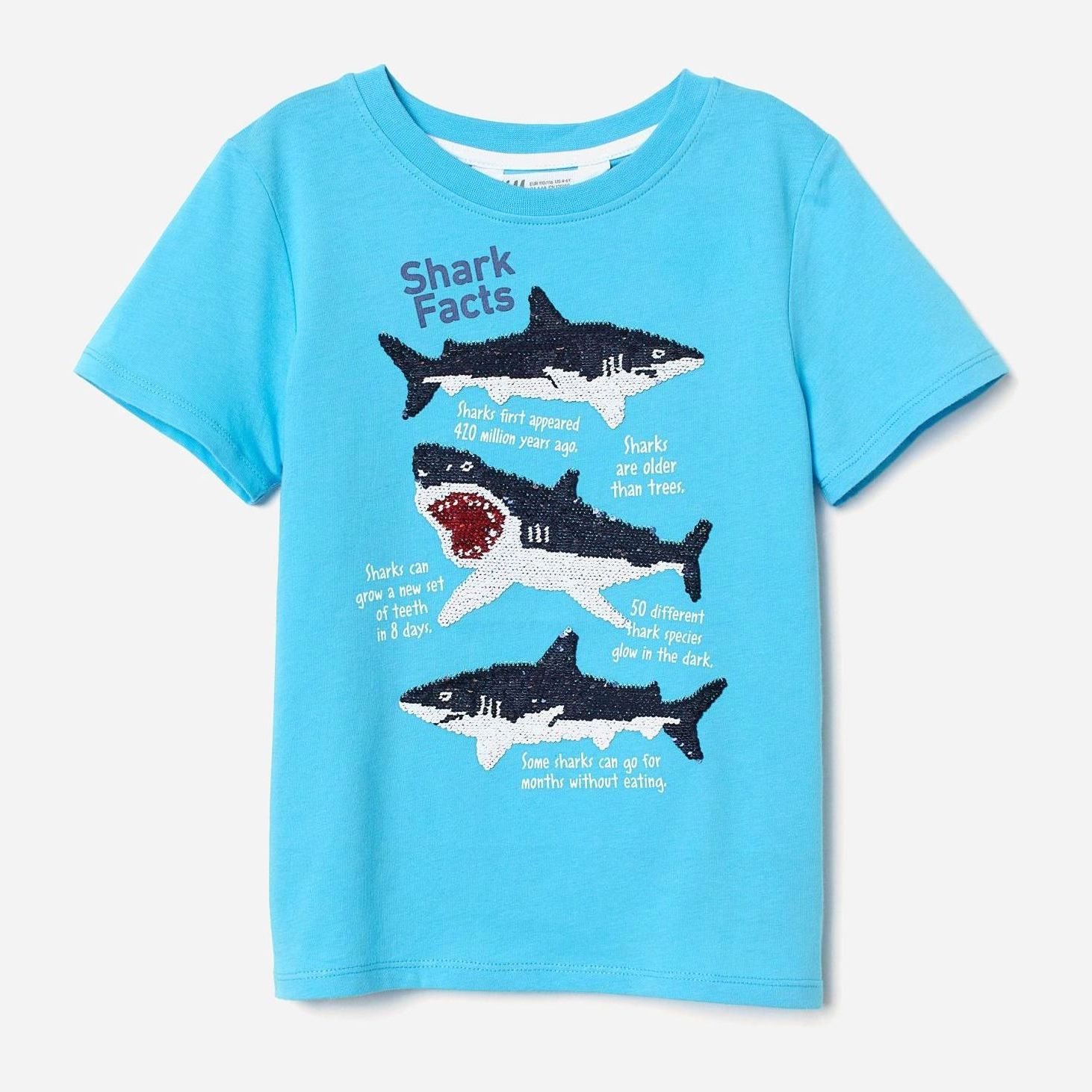 

Футболка H&M 0739822-0 110-116 см Голубая (СА2000001742884)
