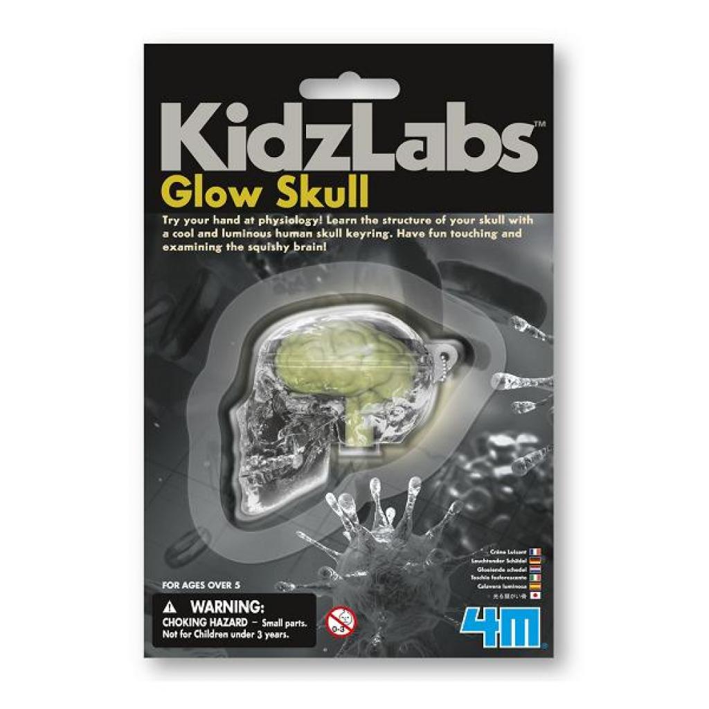 

Набор для экспериментов 4М Светящийся череп (00-03313)