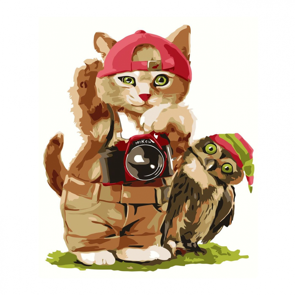

Картина по номерам Кот-фотограф, 30х40 см