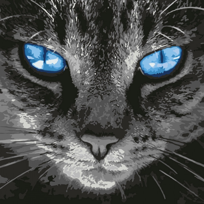 

Картина по номерам. "Пронзительный взгляд" 40*40см KHO4177