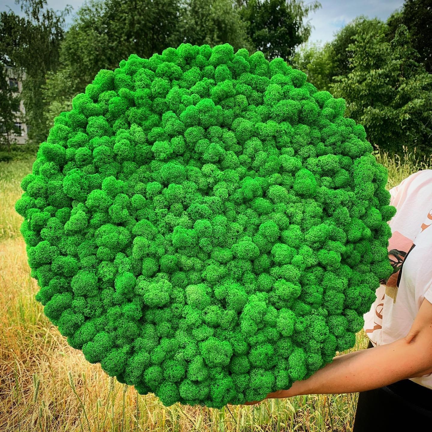 

Круг, панели со стабилизированым мхом А класу MiNature Moss 60см озеленення
