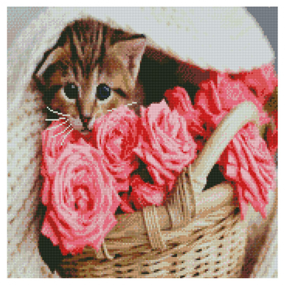 

Алмазная мозаика «Котик в корзине», 50х50 см